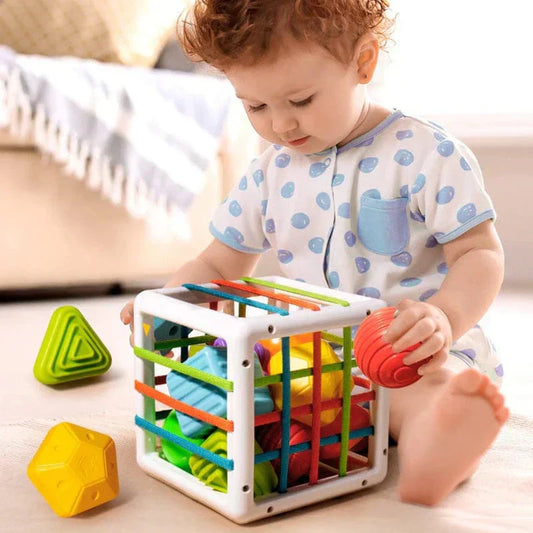 Lava Box - Educational Box