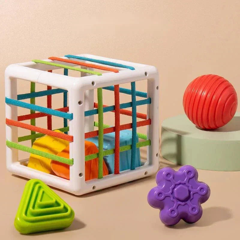 Lava Box - Educational Box