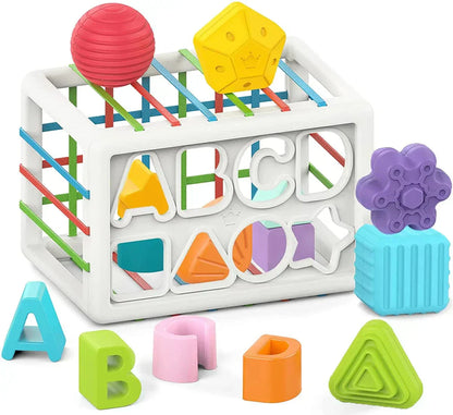 Lava Box - Educational Box