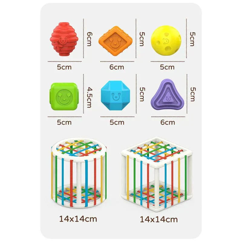 Lava Box - Educational Box