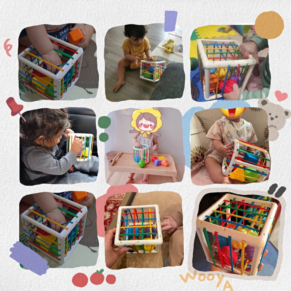 Lava Box - Educational Box