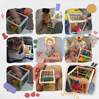 Lava Box - Educational Box